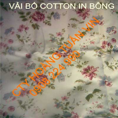 Vải bố cotton